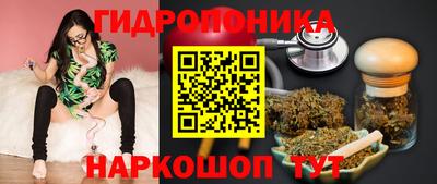 метадон Можга