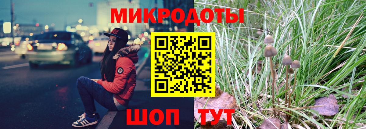 Псилоцибиновые грибы Psilocybe Тихорецк
