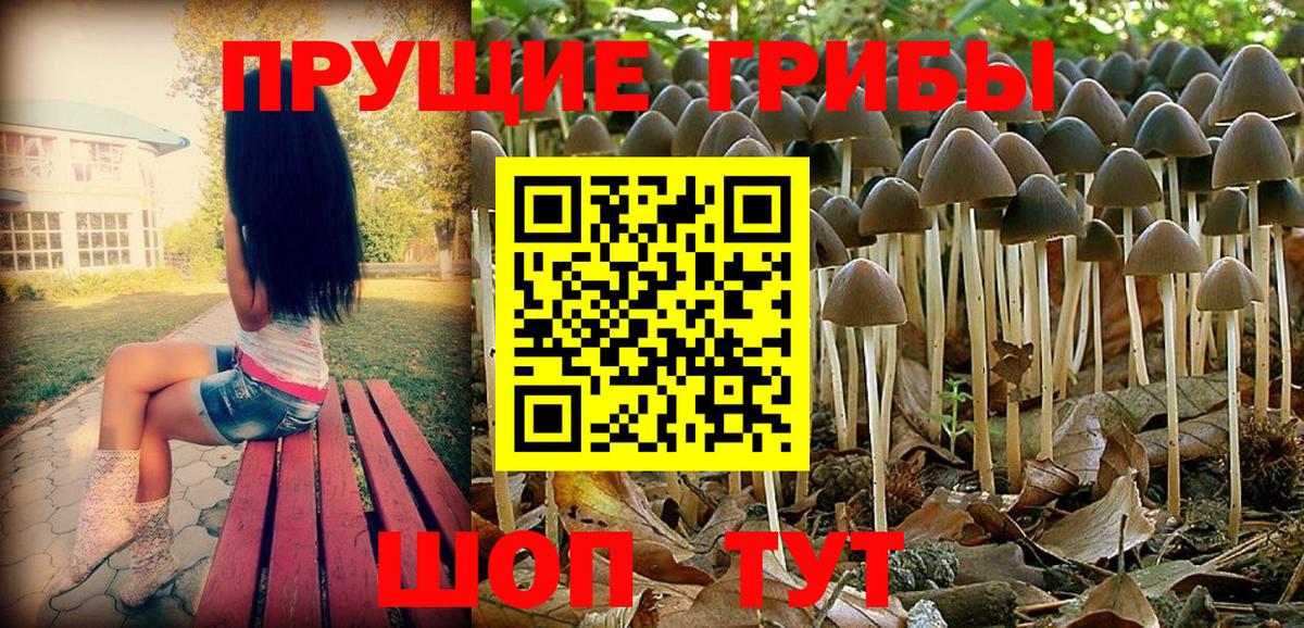 Галлюциногенные грибы мицелий  Вход с VPN  Тихорецк 